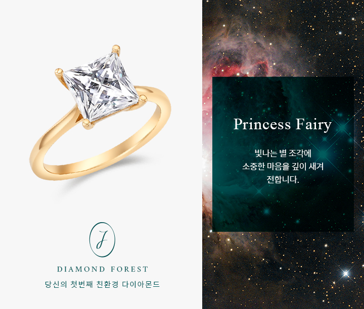 Princess Fairy 2ct | Fancy (진행중)