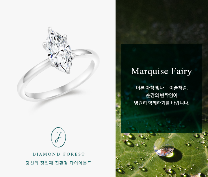 Pear Trio Fairy 1.15ct | Fancy (진행중)