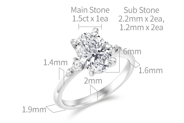 Oval Petit Three Stone 1.62ct | Fancy (진행중)