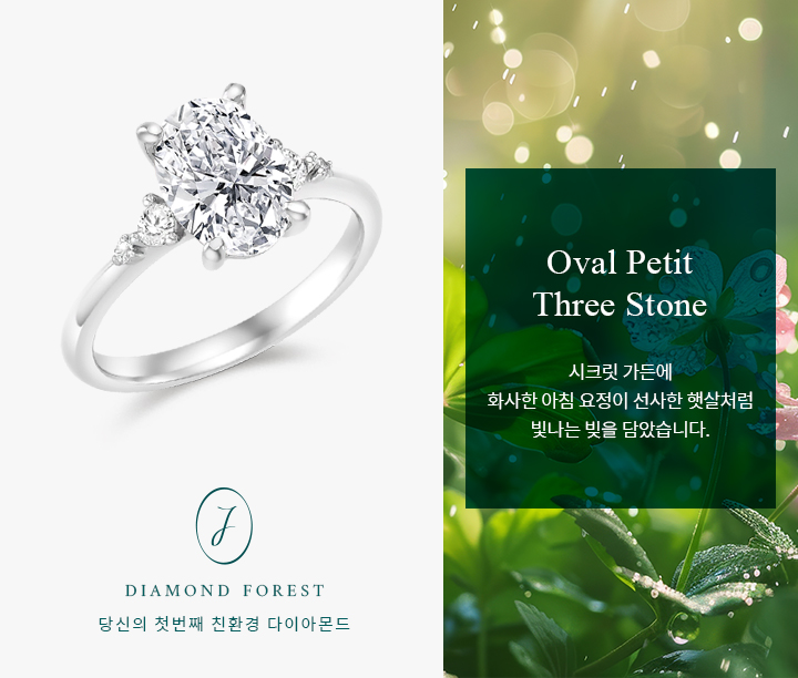 Oval Petit Three Stone 1.62ct | Fancy (진행중)