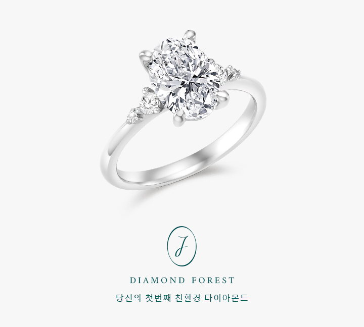Oval Petit Three Stone 1.62ct | Fancy (진행중)