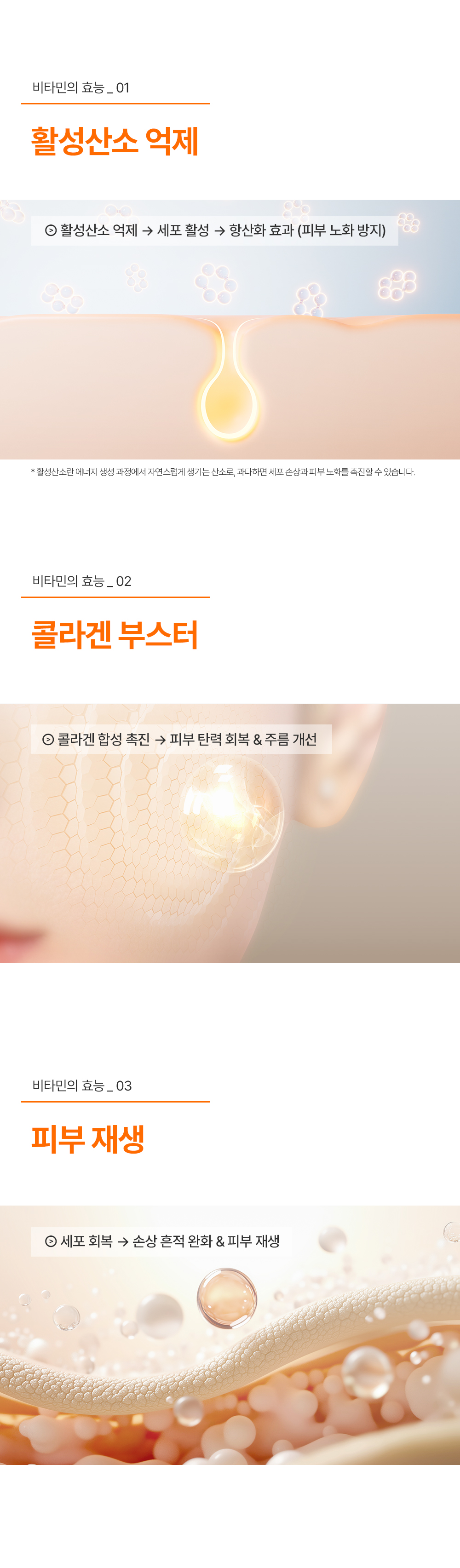 🤎10월 프로모션🤎[2+1/3+3] 비타 디엑스 키트