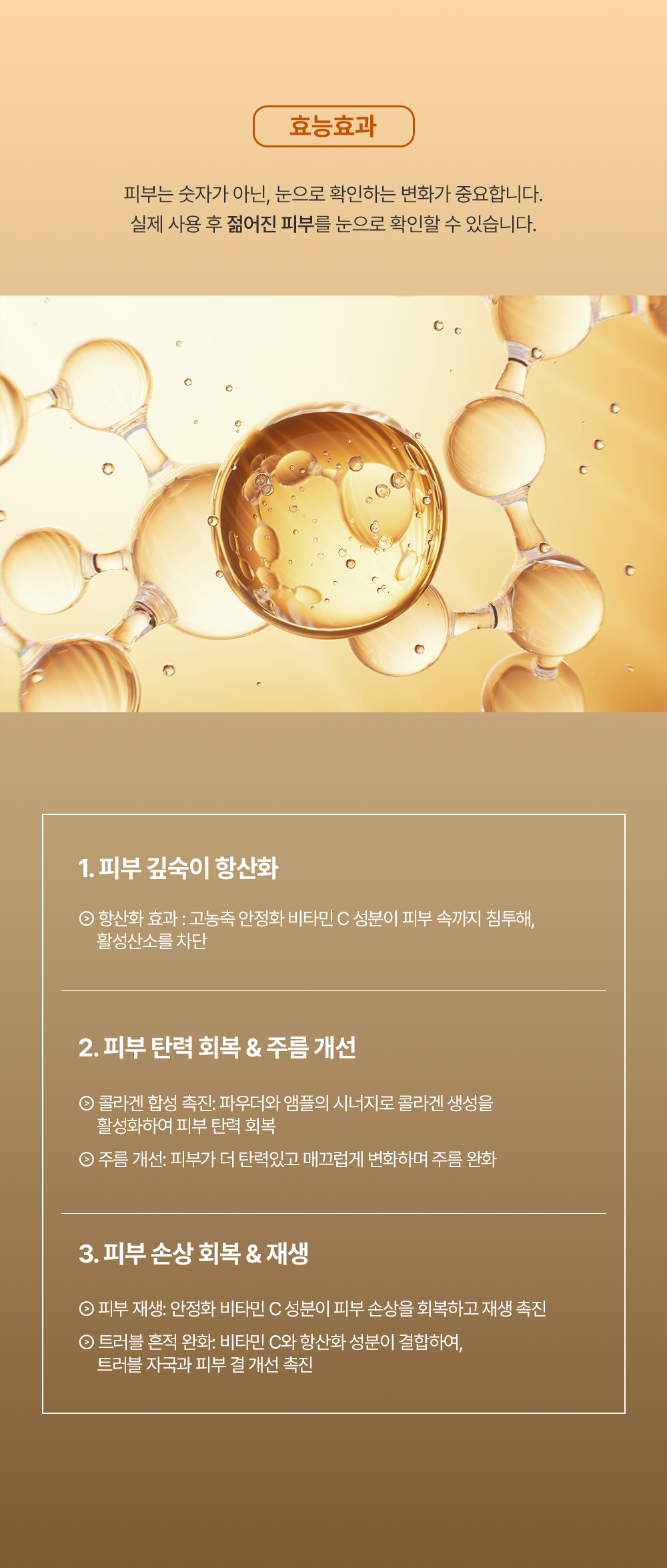 🤎10월 프로모션🤎[2+1/3+3] 비타 디엑스 키트