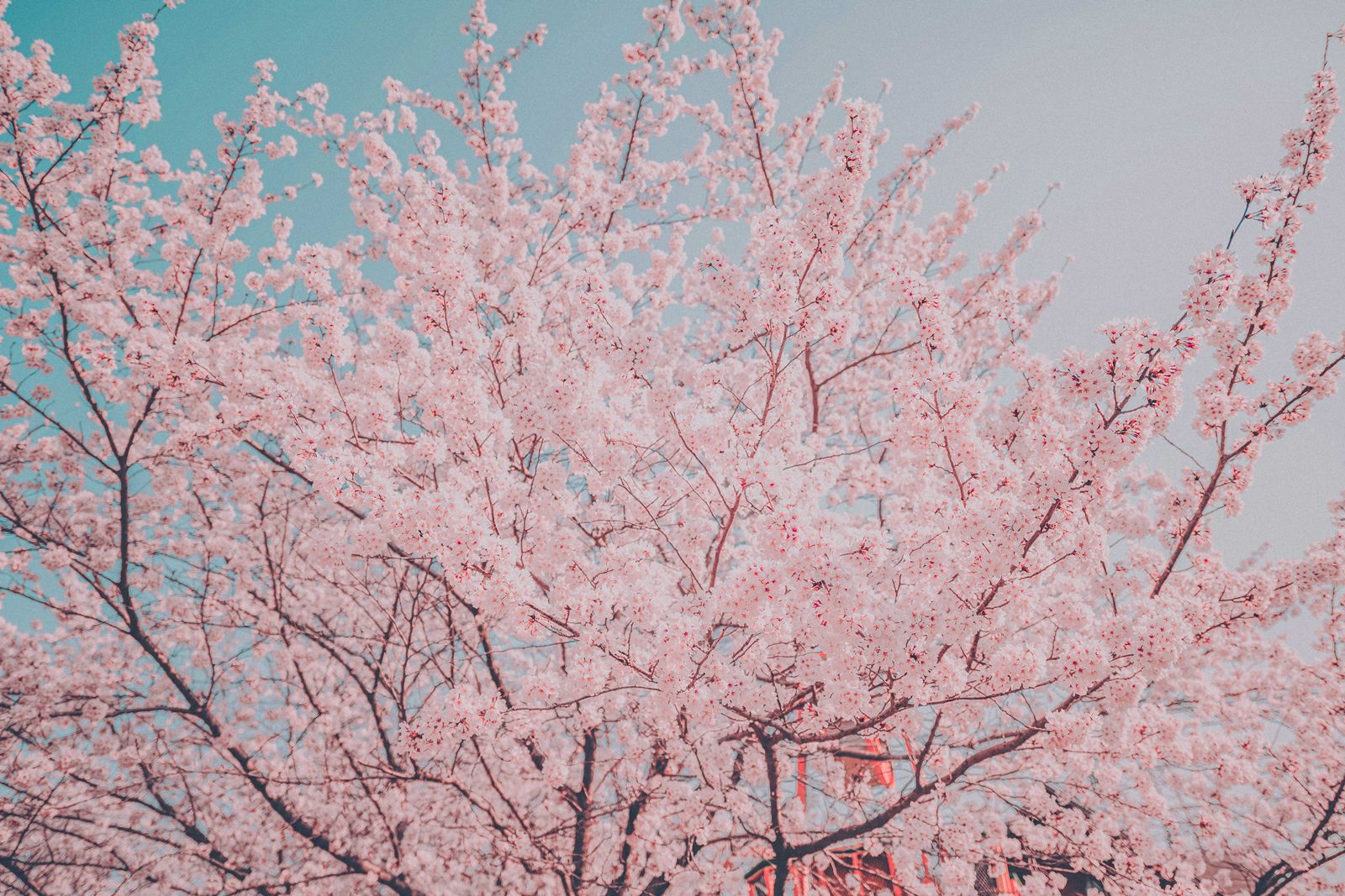 행사 분위기