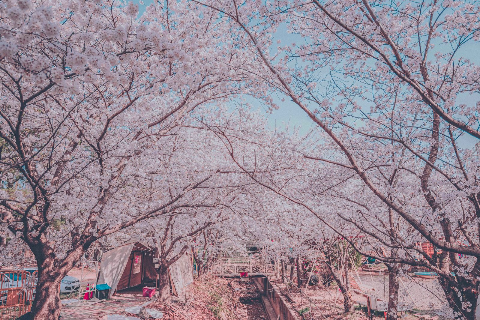 캠크닉 감성