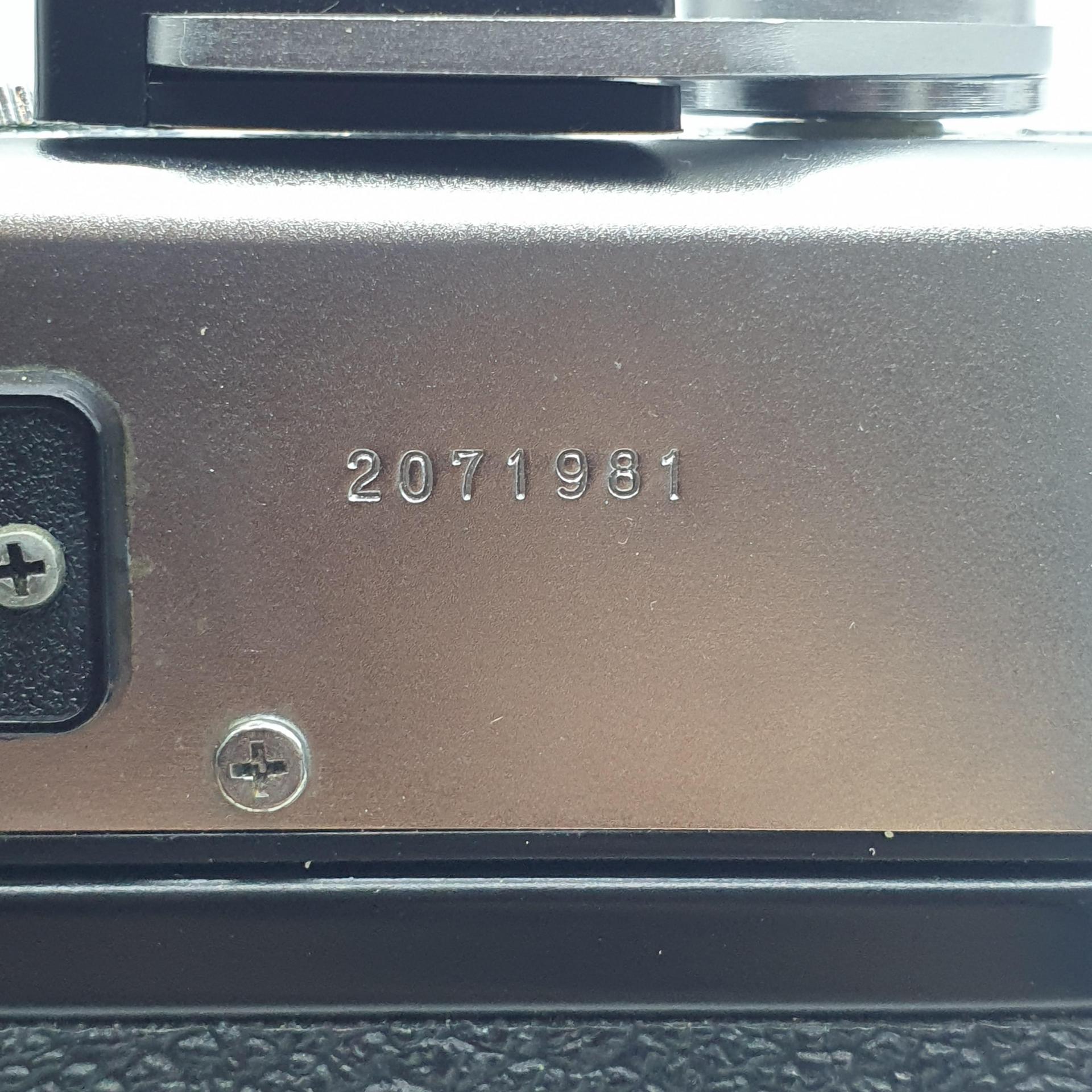 야시카 일렉트로 35 GSN GTN yashica electro 35