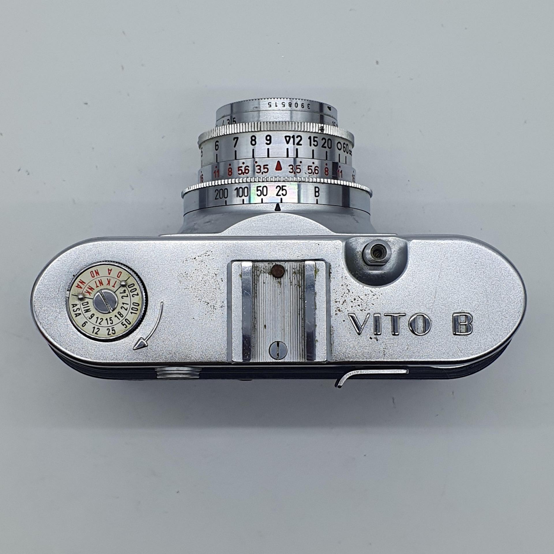 보이그랜더 보이그렌더 비토 B vito b