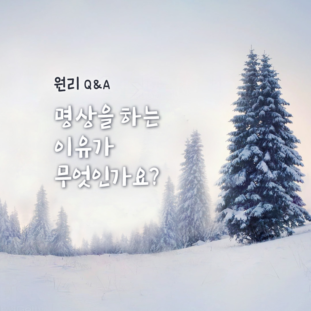 ed120c5605719.jpg