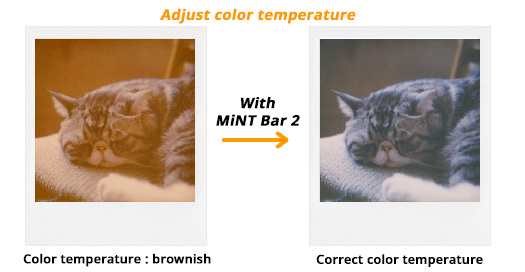 Mint Flash Bar 2 민트 플래시바 2