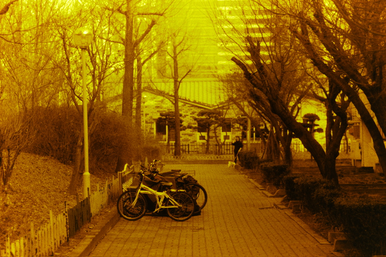 cb398b2ddb75f.jpeg