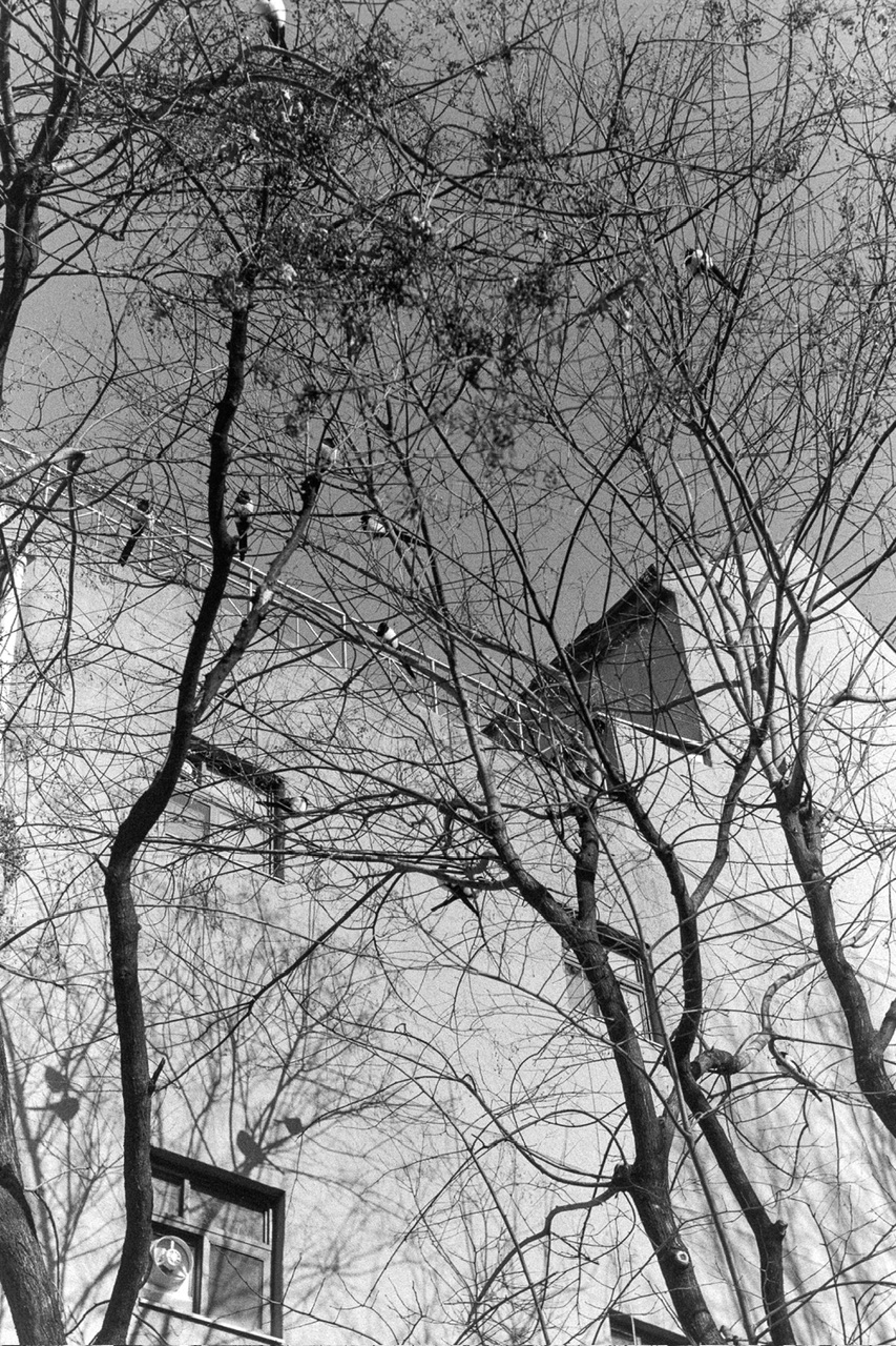 d04d960771aed.jpeg