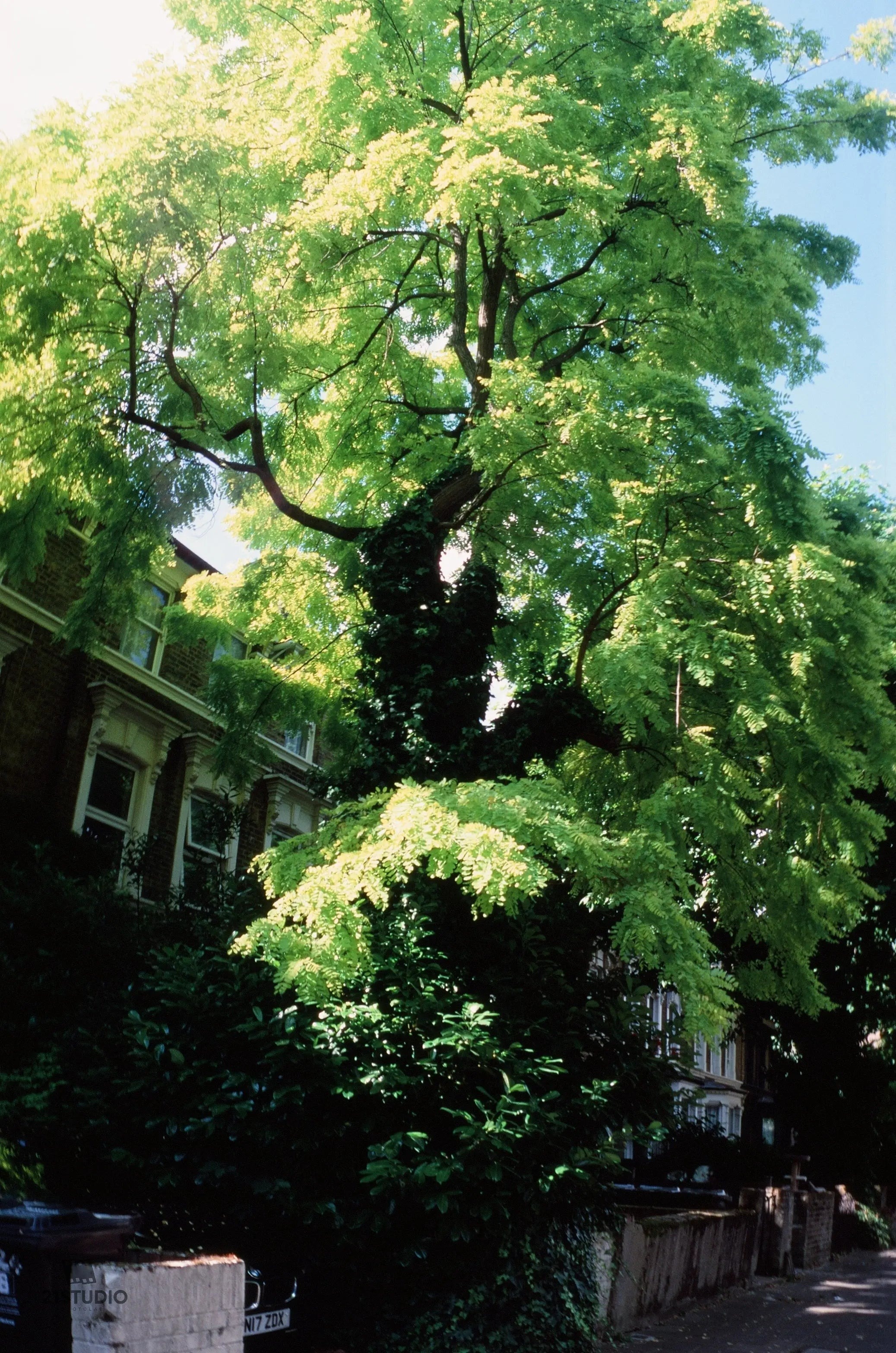 후지 벨비아 100 Fuji Velvia 100