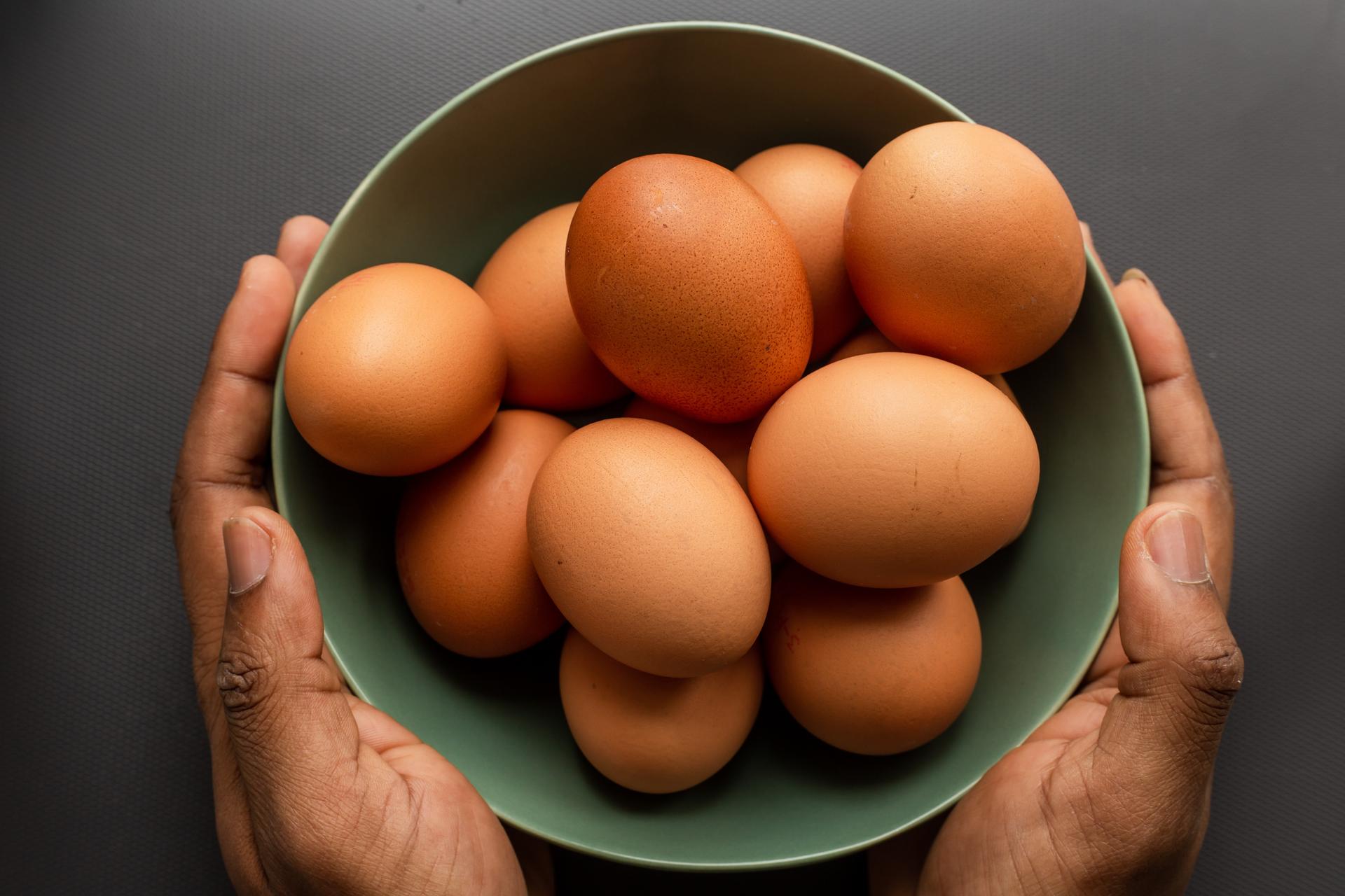 지리산 자락에서 만나는 '행복한' 유기농 계란 : ㅊㅊ레터