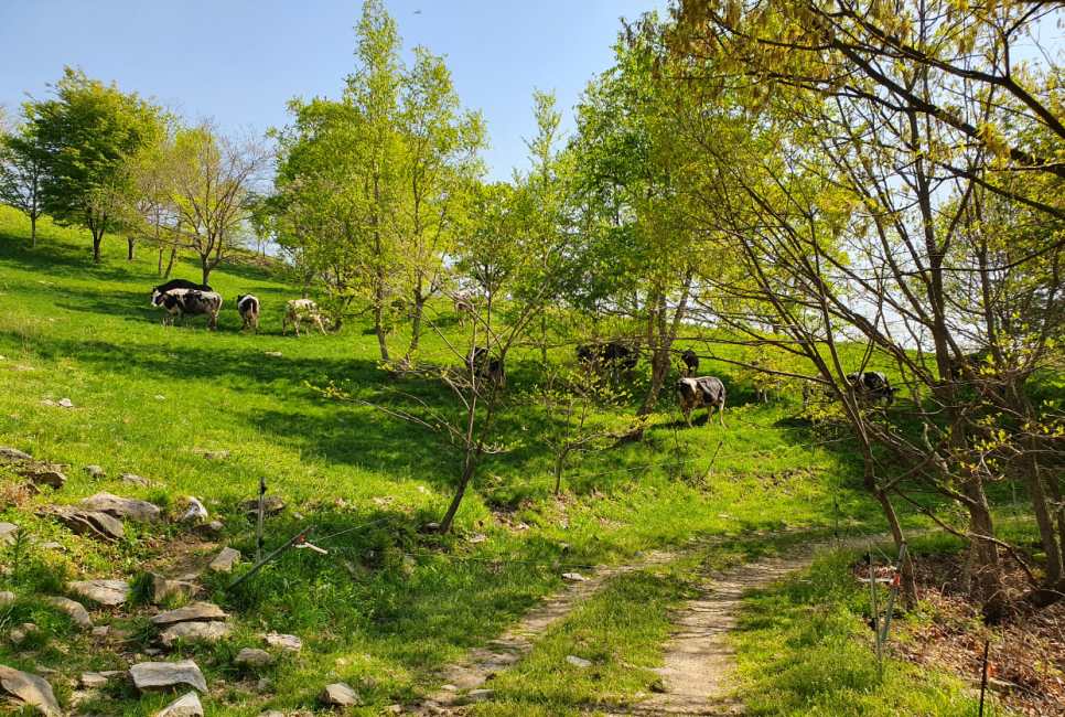 14b5292f08b06.png