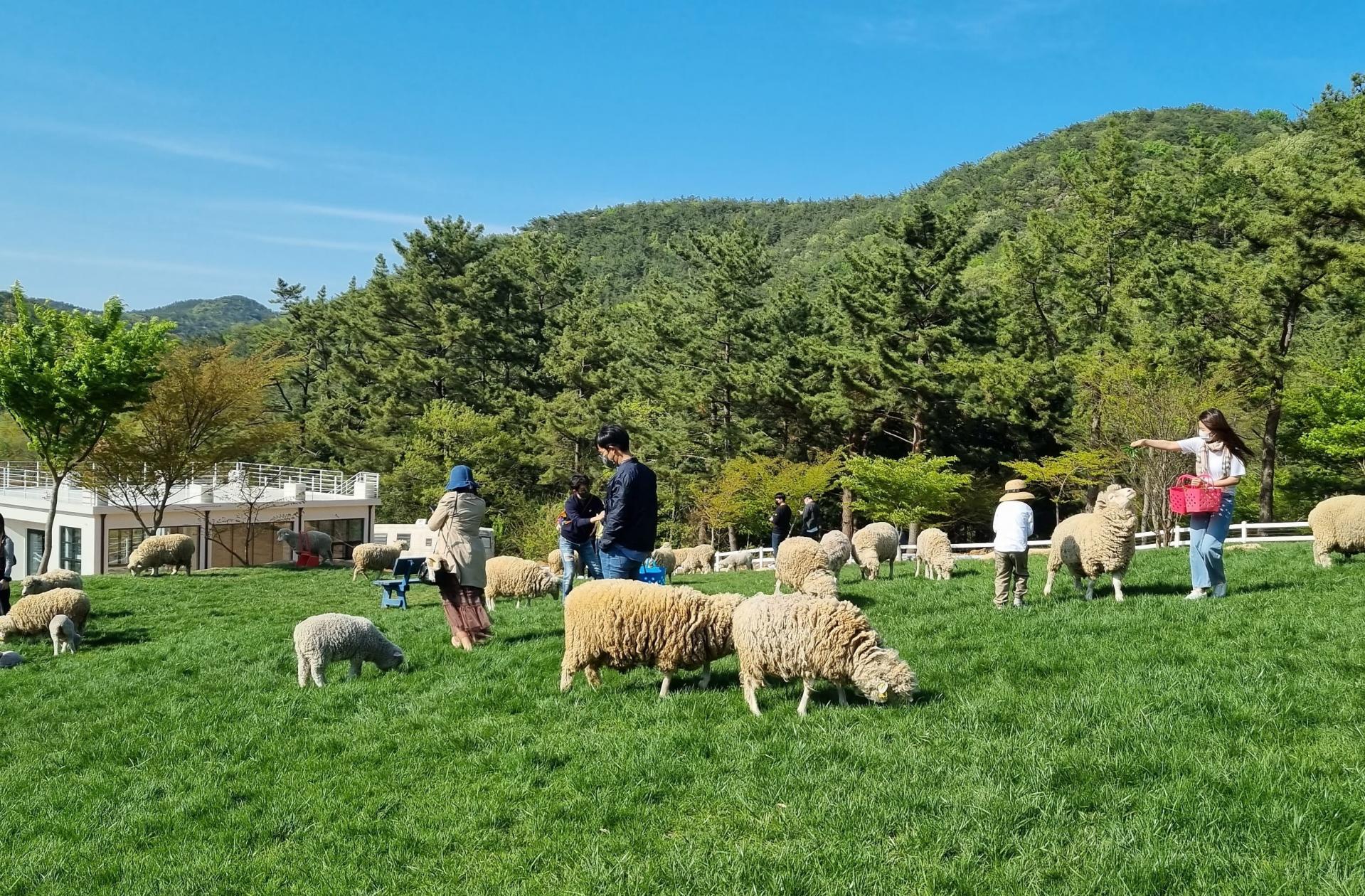 축산현장이 더럽다는 편견을 바꾸고 깨끗하고 아름다운 농장을 가꾸는 사람들 : 매거진더_이음, image size:1919x1260