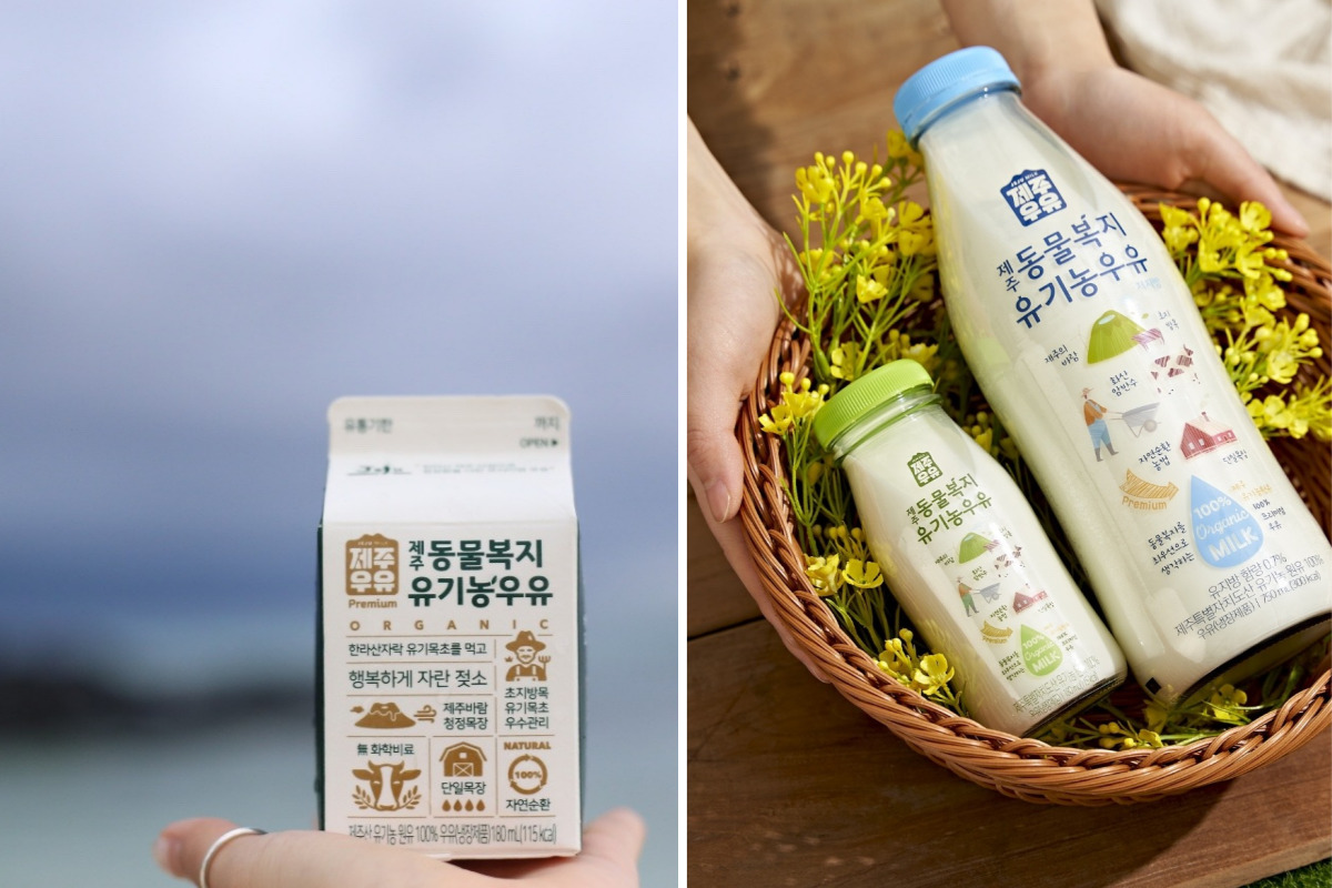 제주의 푸른 바람을 담은 우유를 생산합니다_제주 '건준목장' : 매거진더_이음