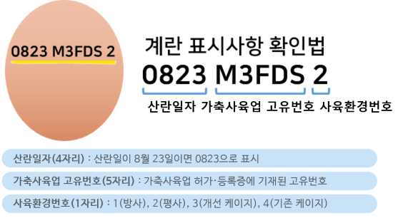 9b96bf948ce9a.png