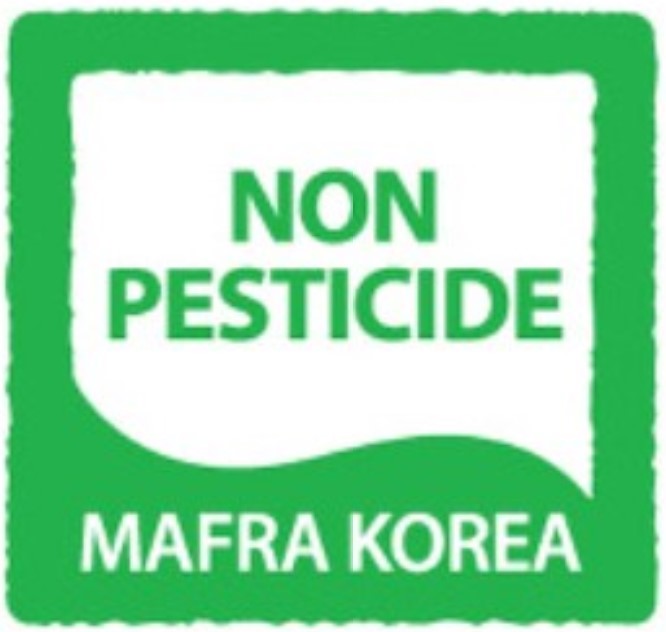 bb99d727e524b.jpg