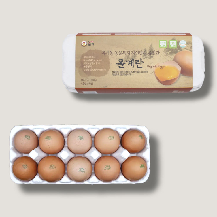d55b123fcefb4.png