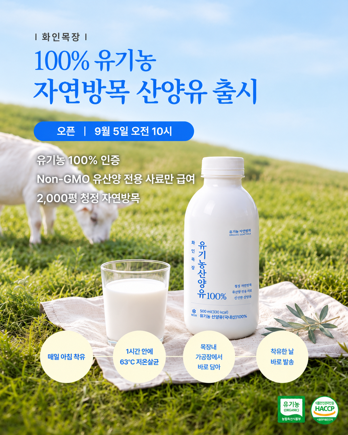 efbff72334a7a.png