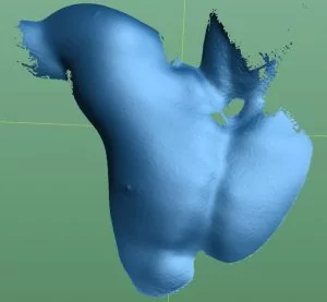 VXmodel에서 남자 몸통에 대한 블루 3D 스캔