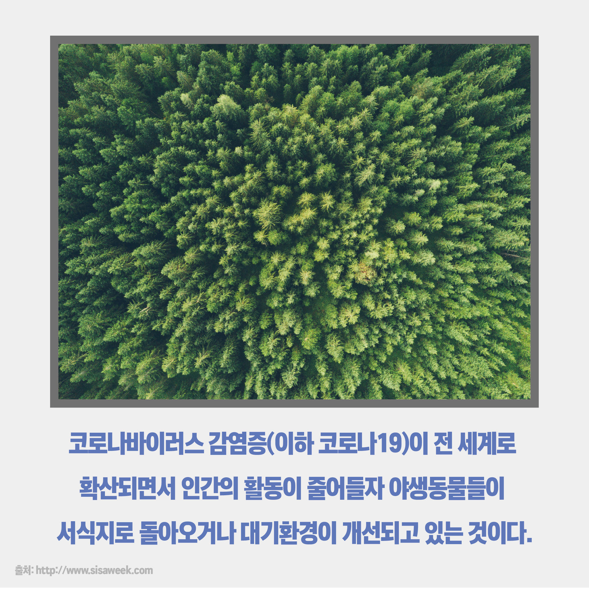 795abde6f0b4d.jpg