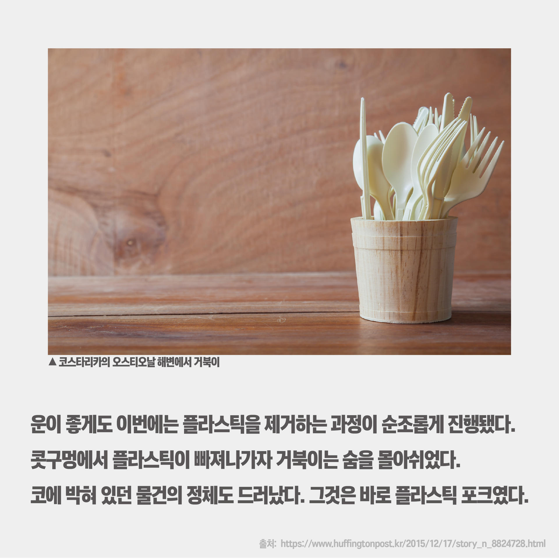 9c6433804bcf9.jpg