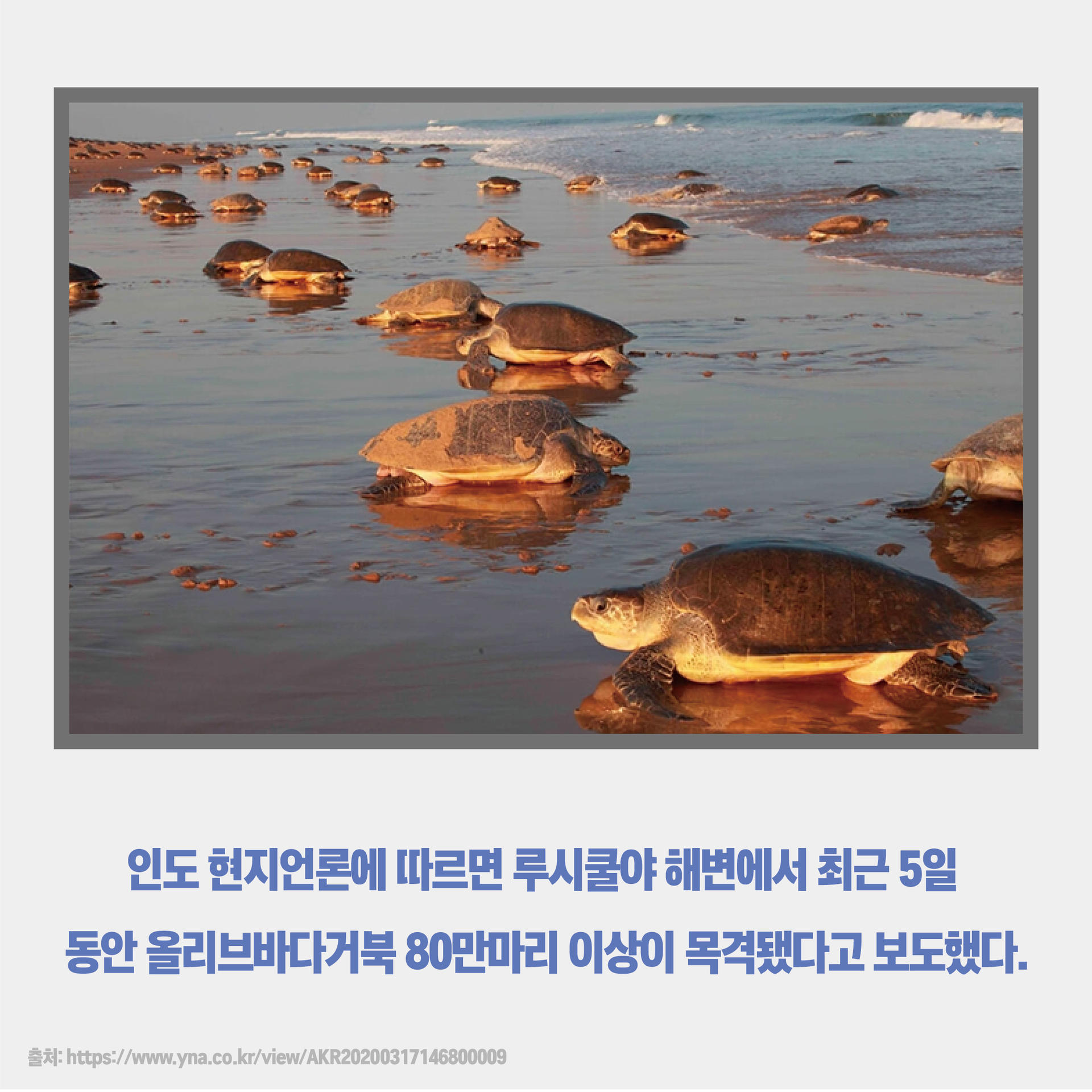 b54bd6d15e174.jpg