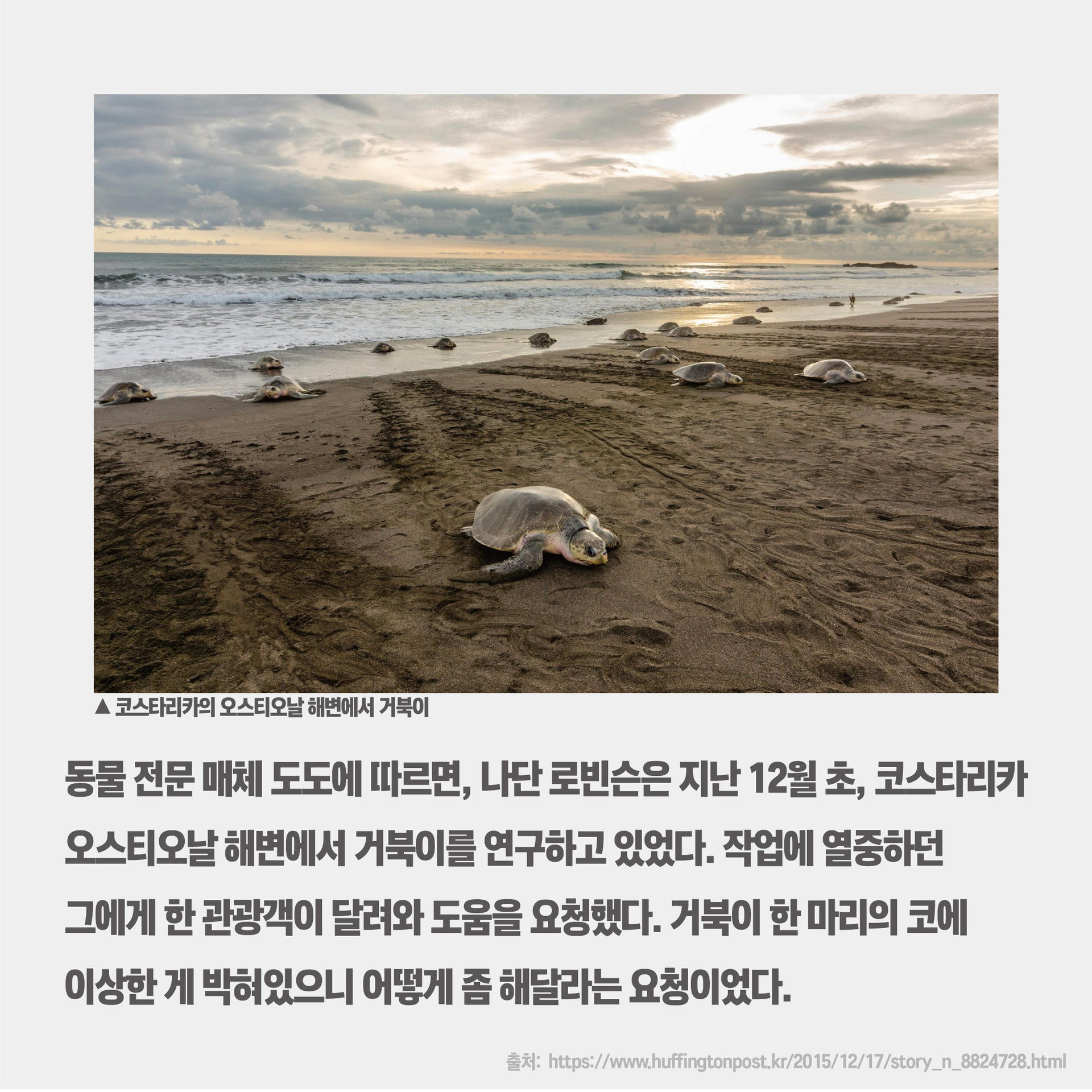 d2bc7b0031cc8.jpg