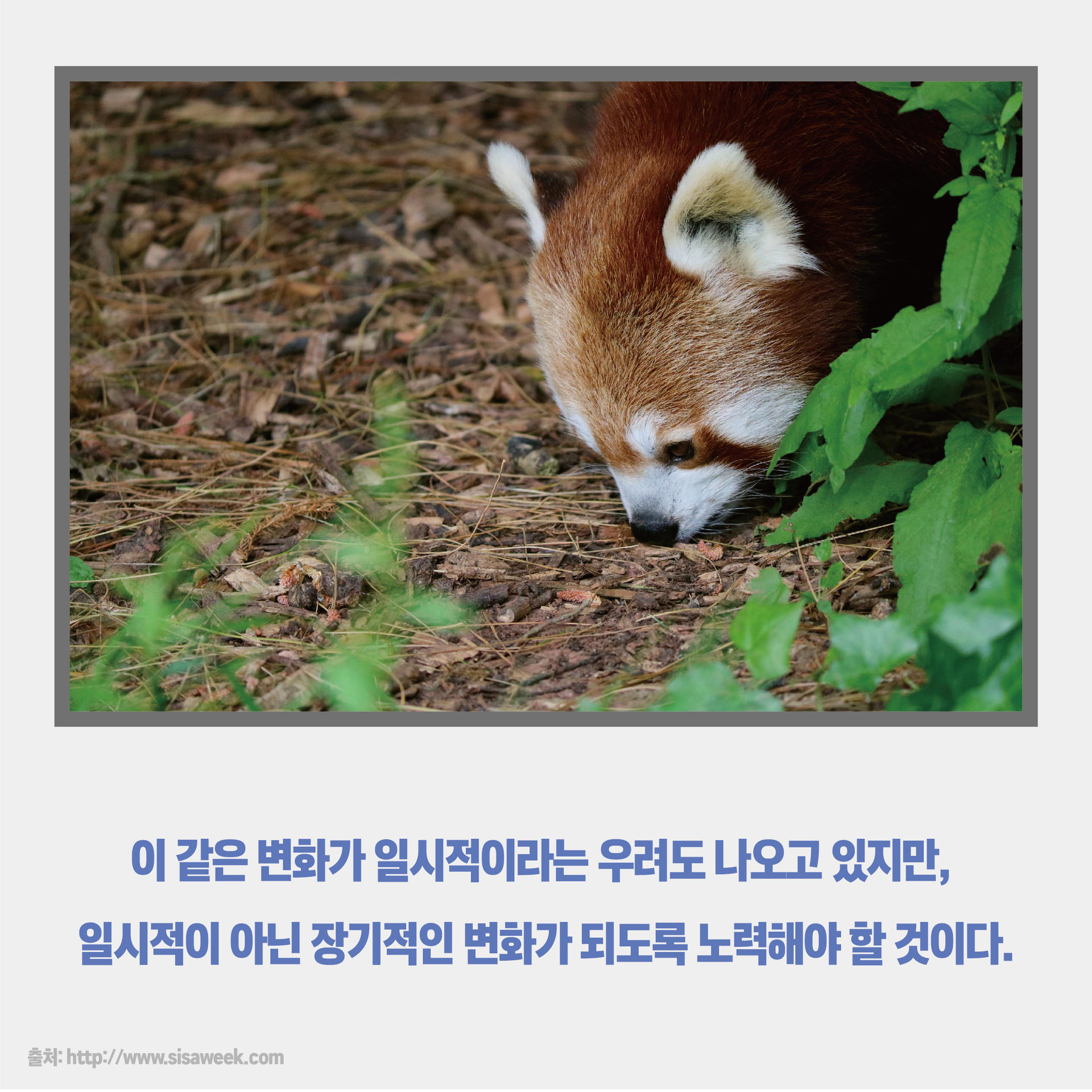 d73f19d0c53c9.jpg