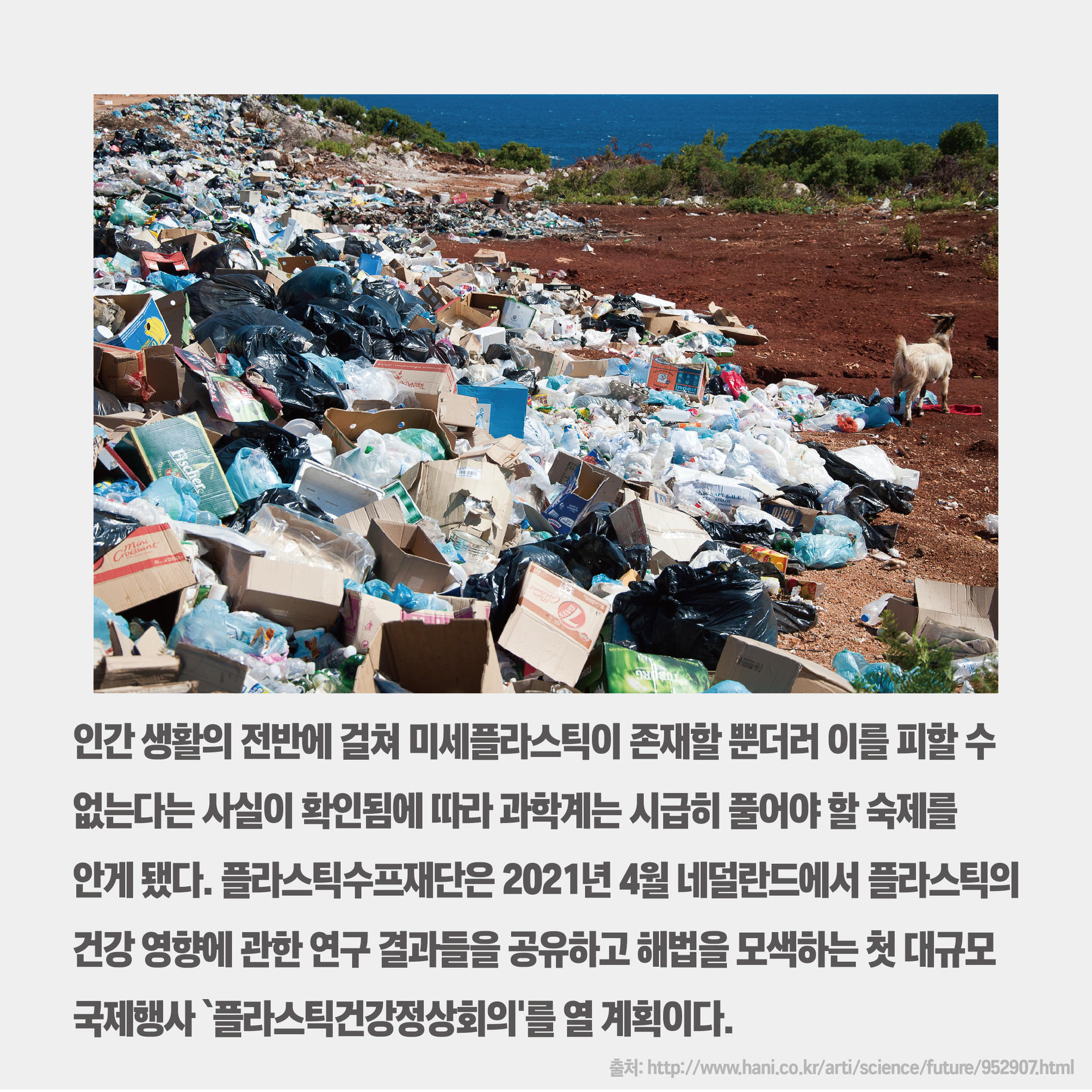 e7364e0087d3a.jpg