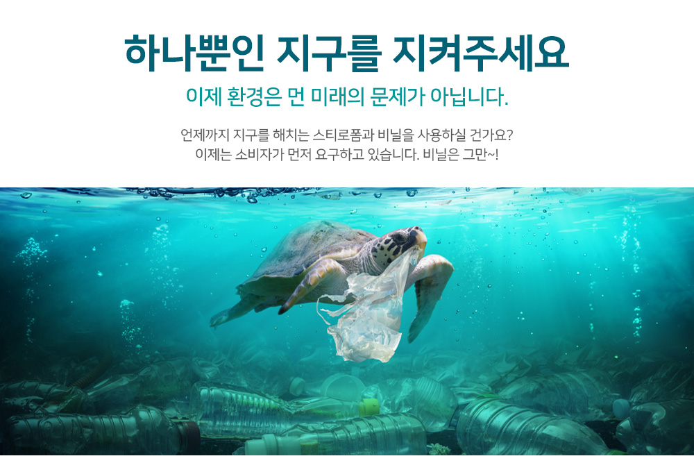 지구를지켜라거북이