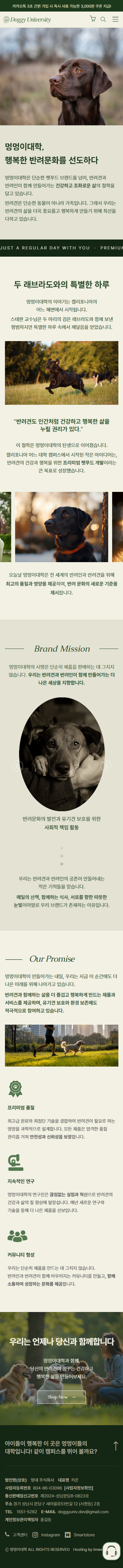 기업홈페이지제작 픽셀아트공작소