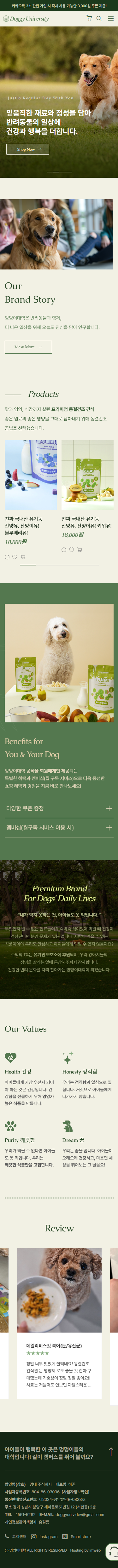 홈페이지제작업체