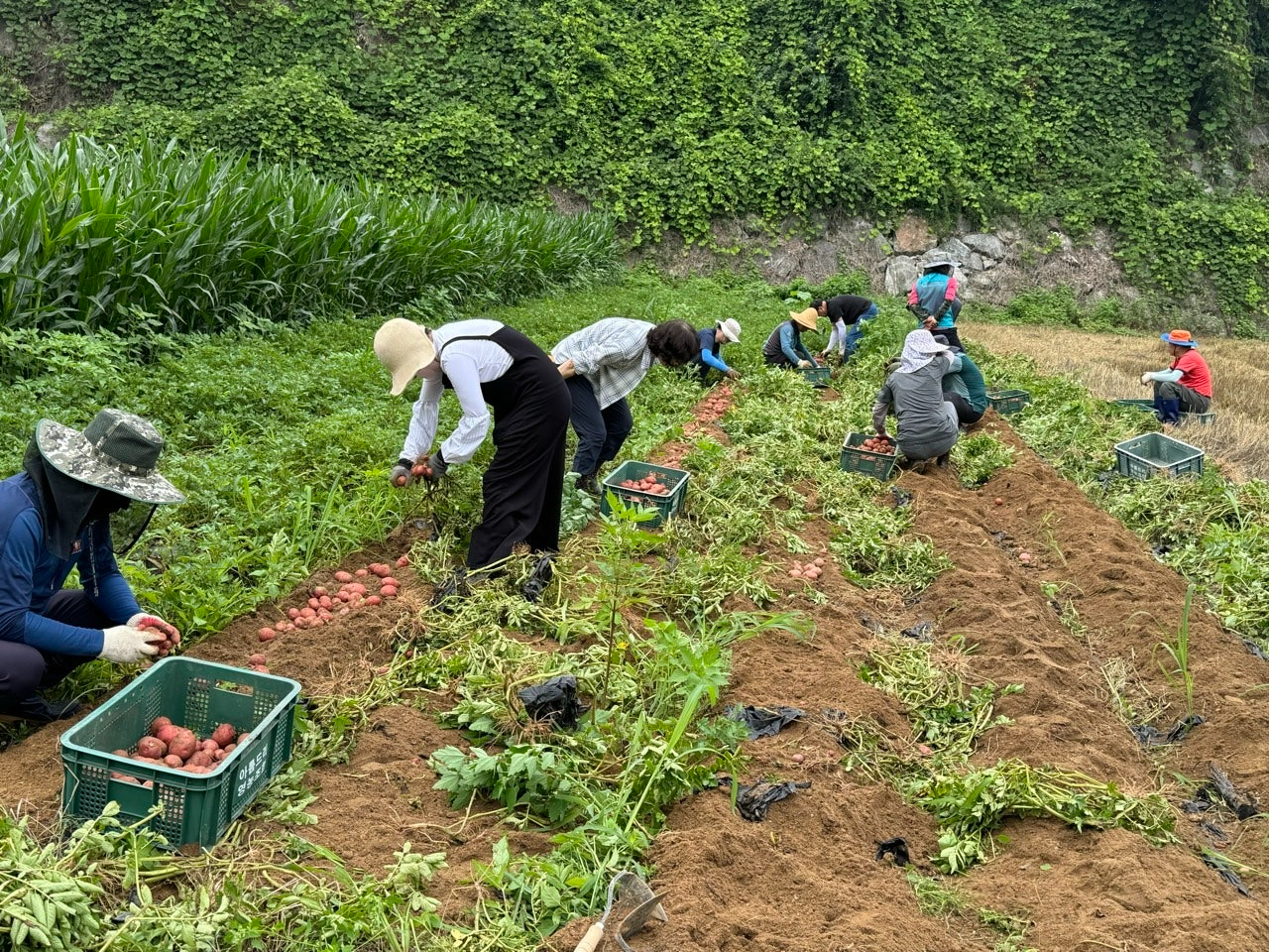 사용자가 올린 이미지