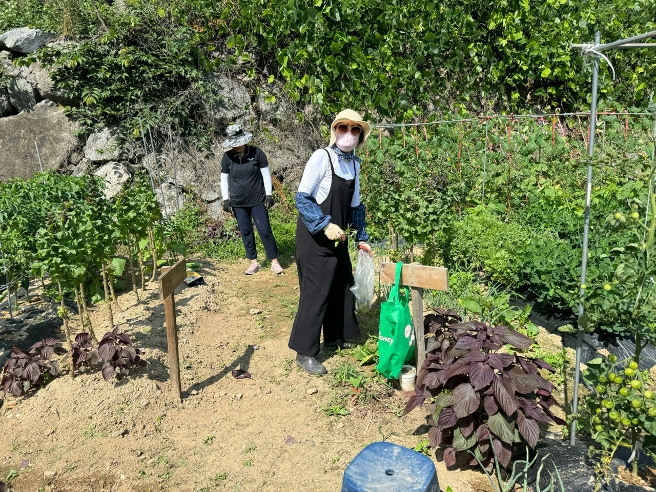 사용자가 올린 이미지