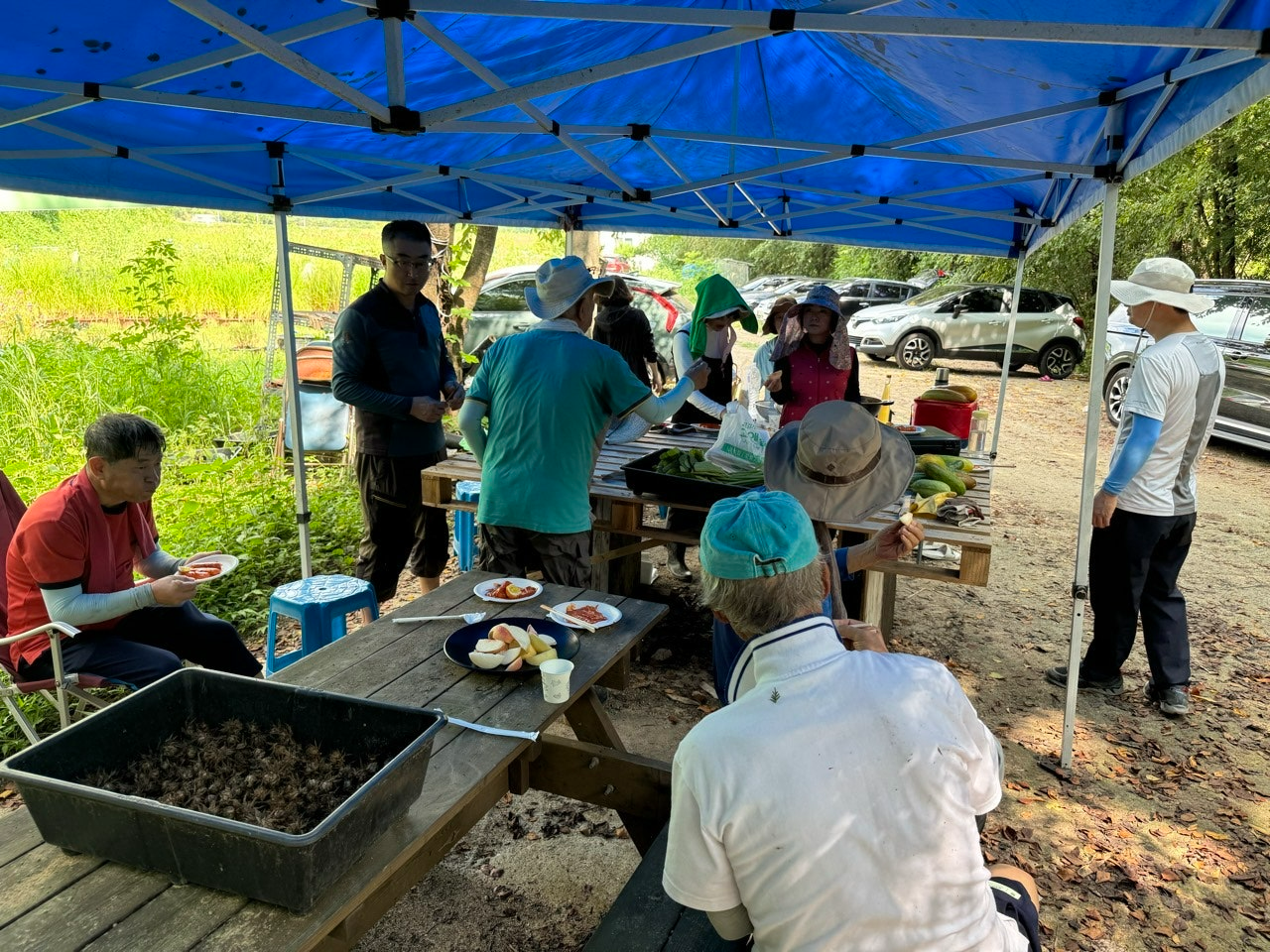 사용자가 올린 이미지