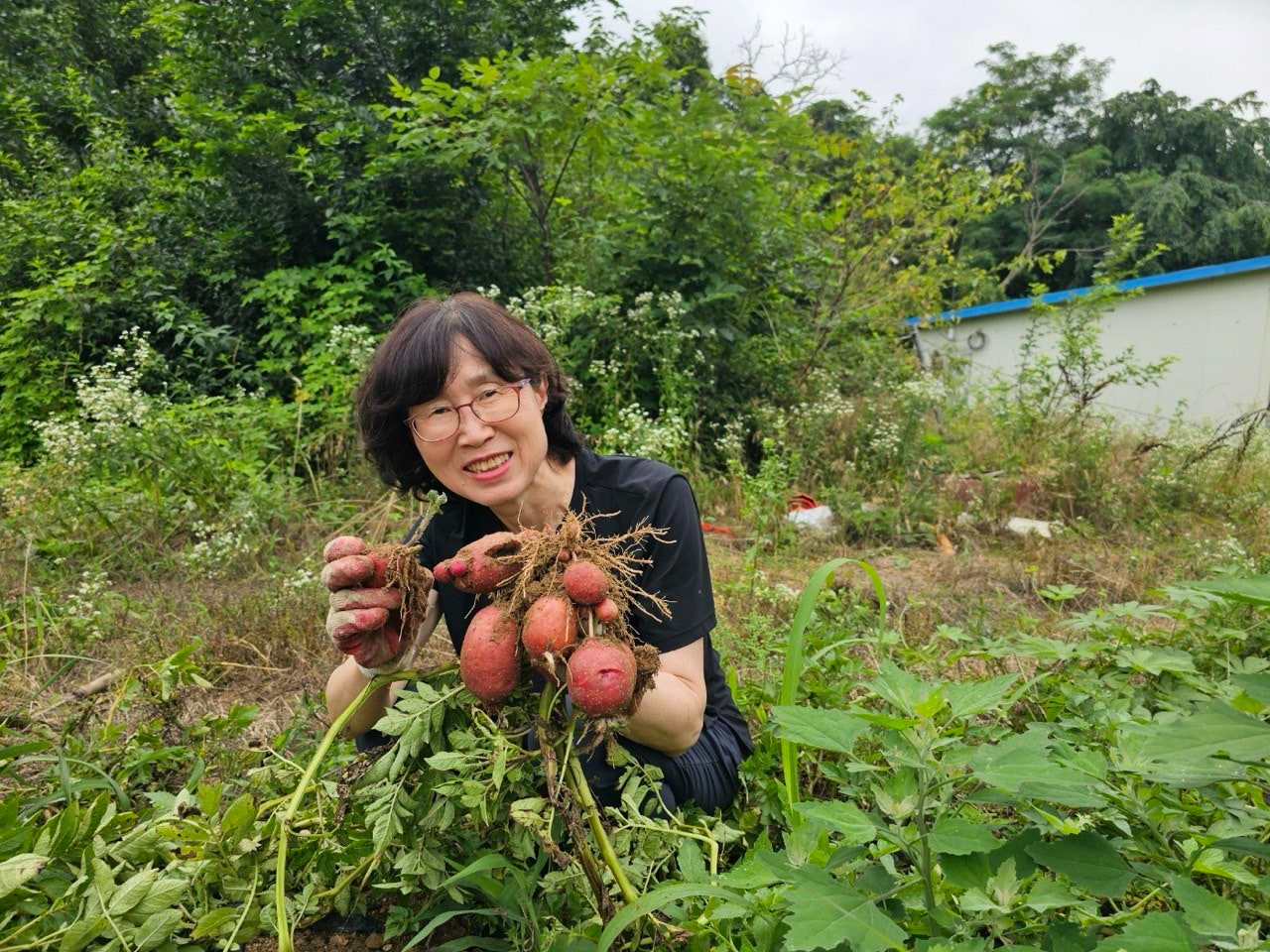 사용자가 올린 이미지