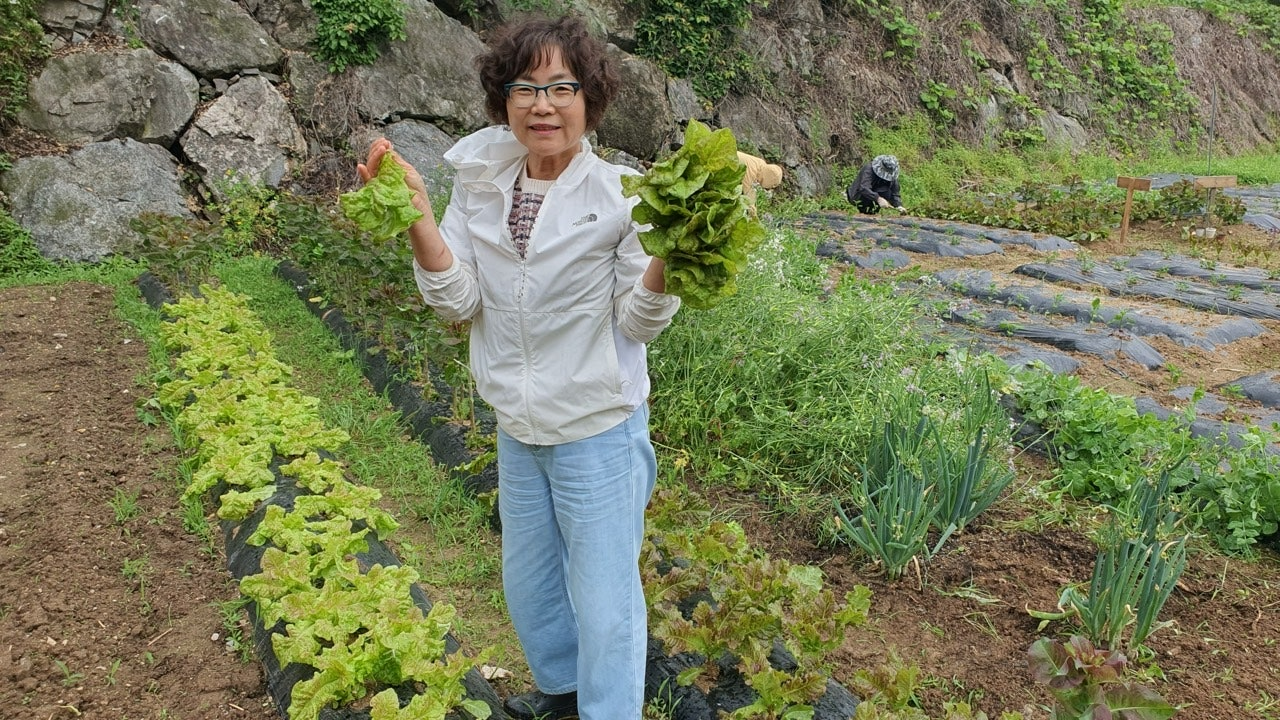 사용자가 올린 이미지