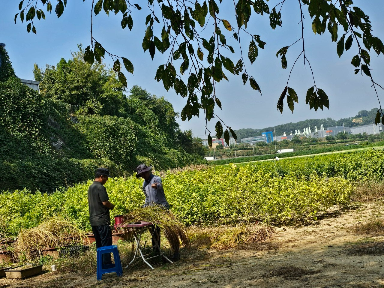 사용자가 올린 이미지