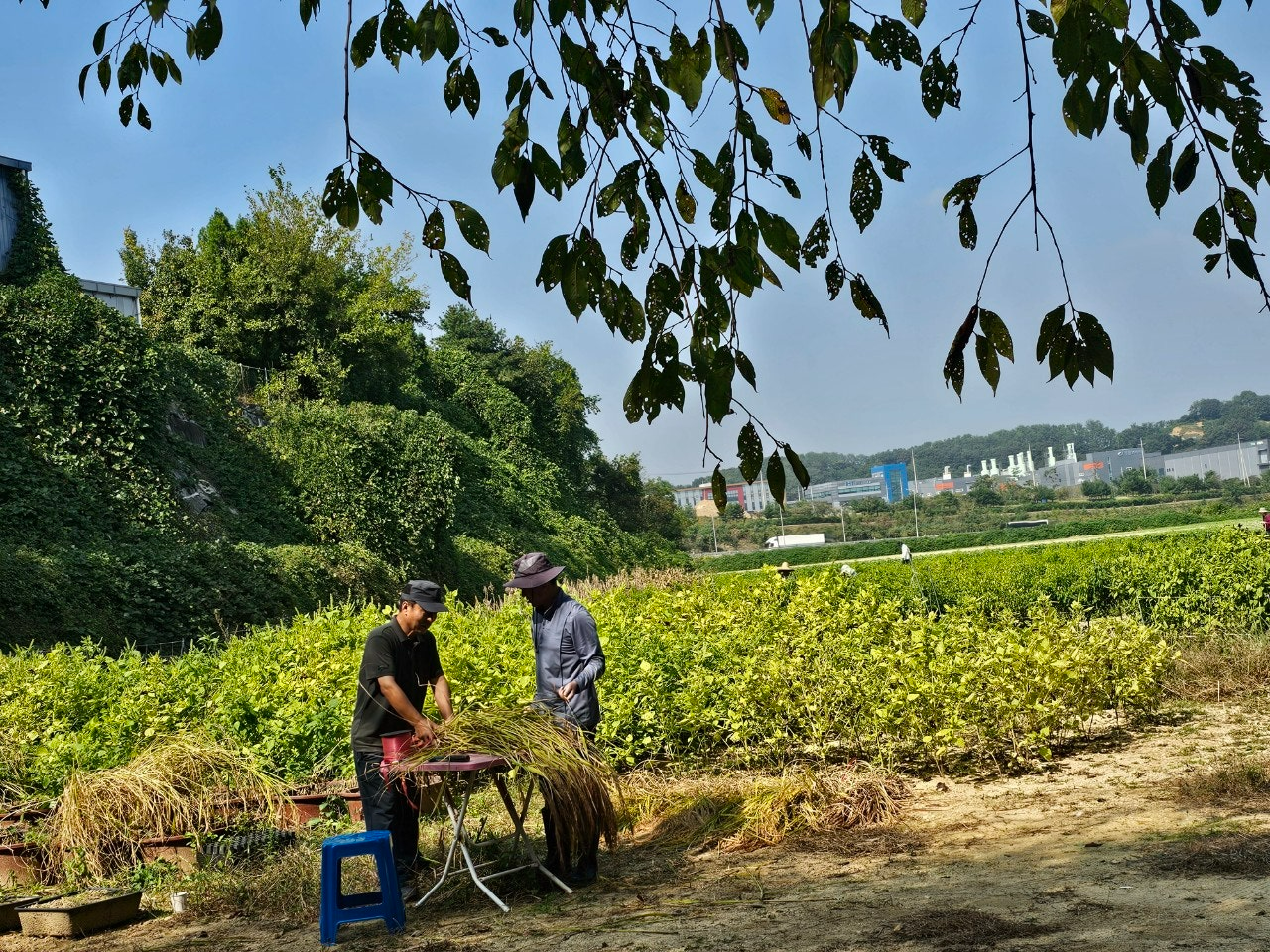 사용자가 올린 이미지