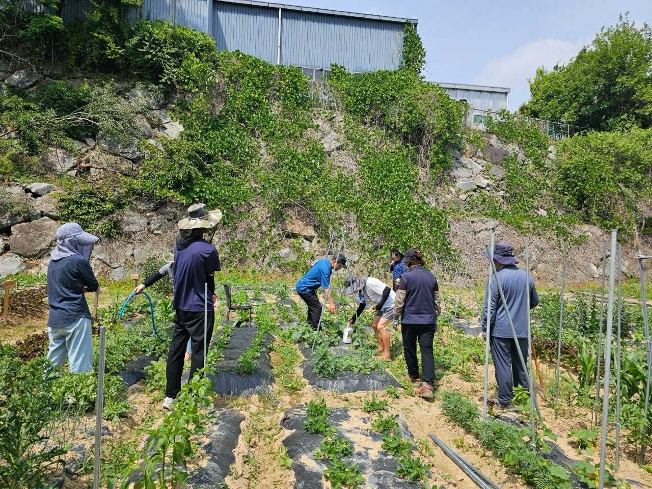 사용자가 올린 이미지