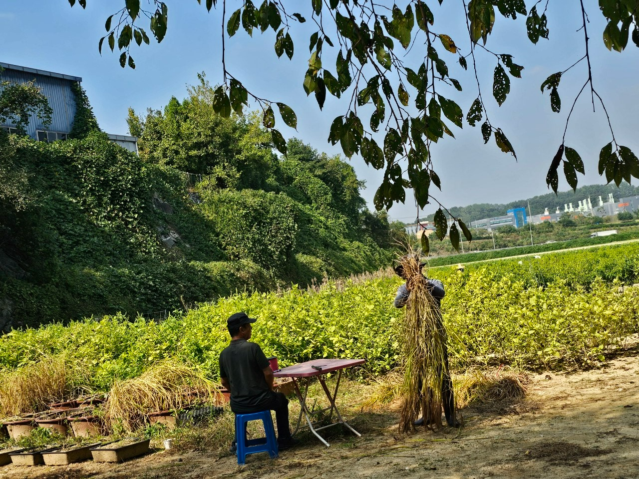 사용자가 올린 이미지