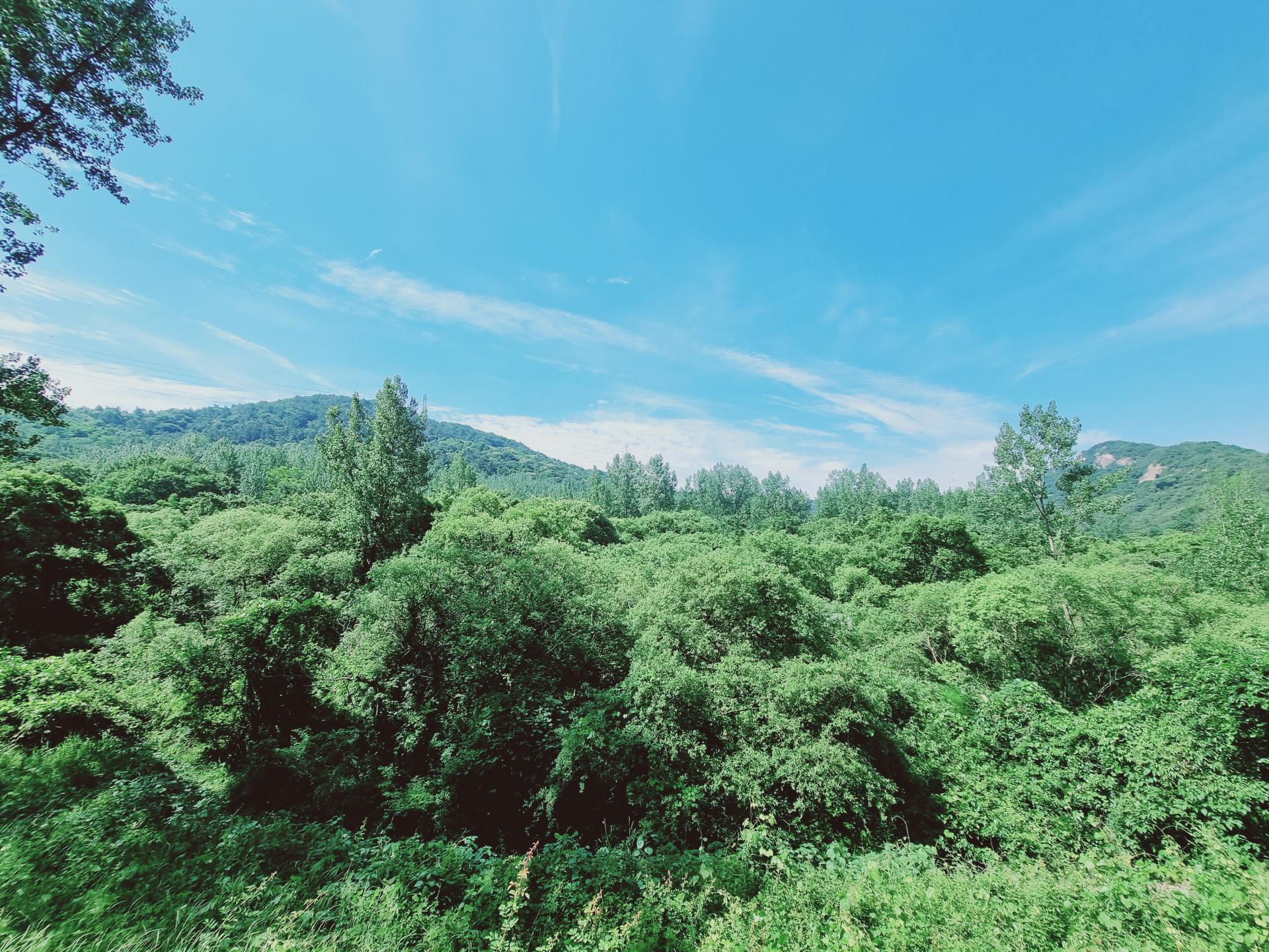 4a50507d4a679.jpeg