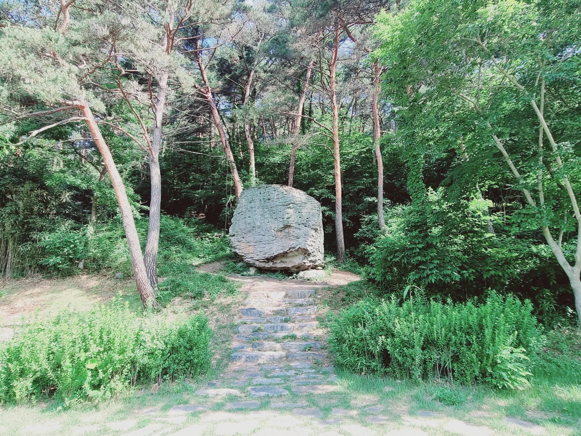 64d04257f889a.jpeg