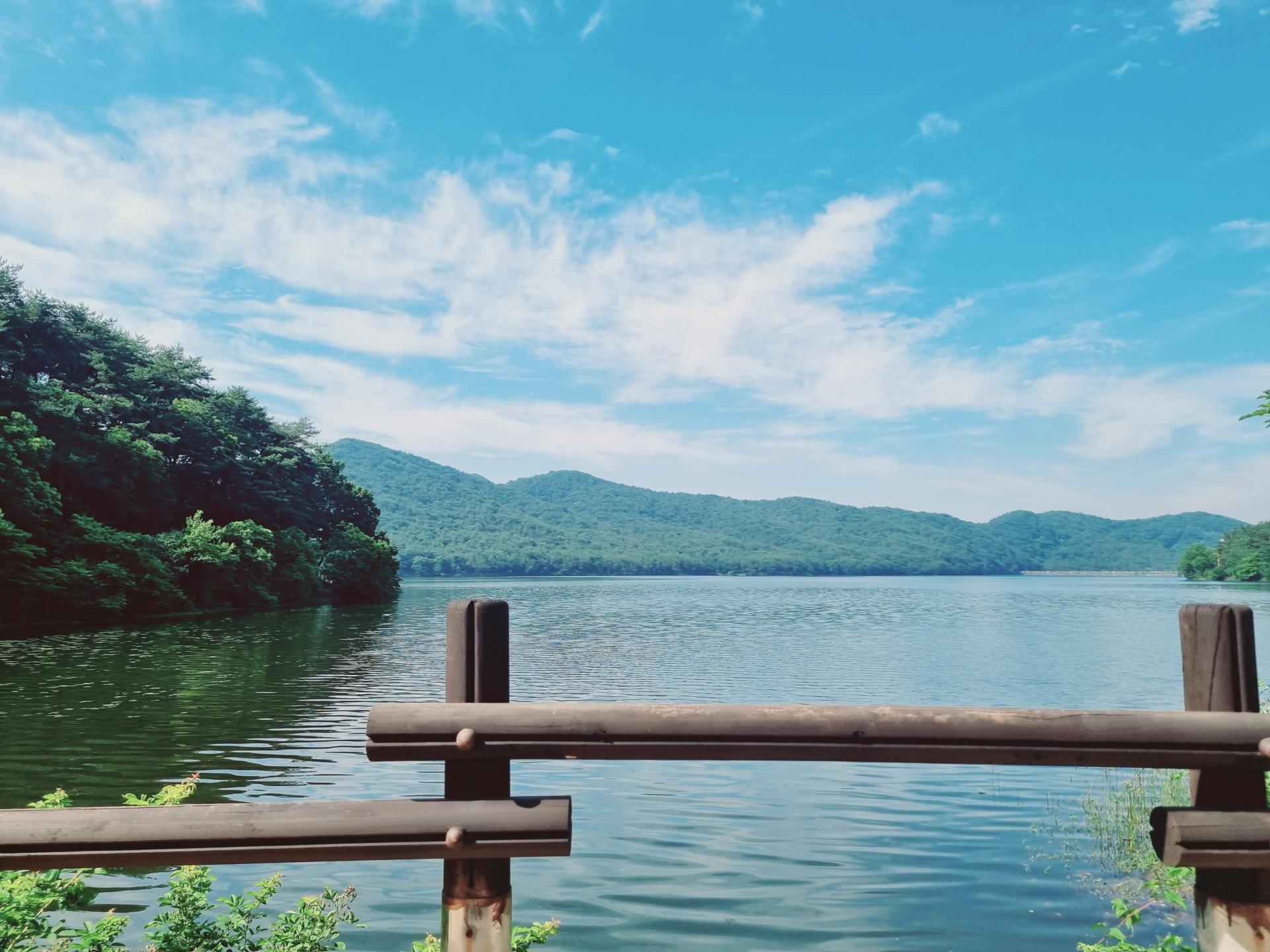 a09de736392a6.jpeg