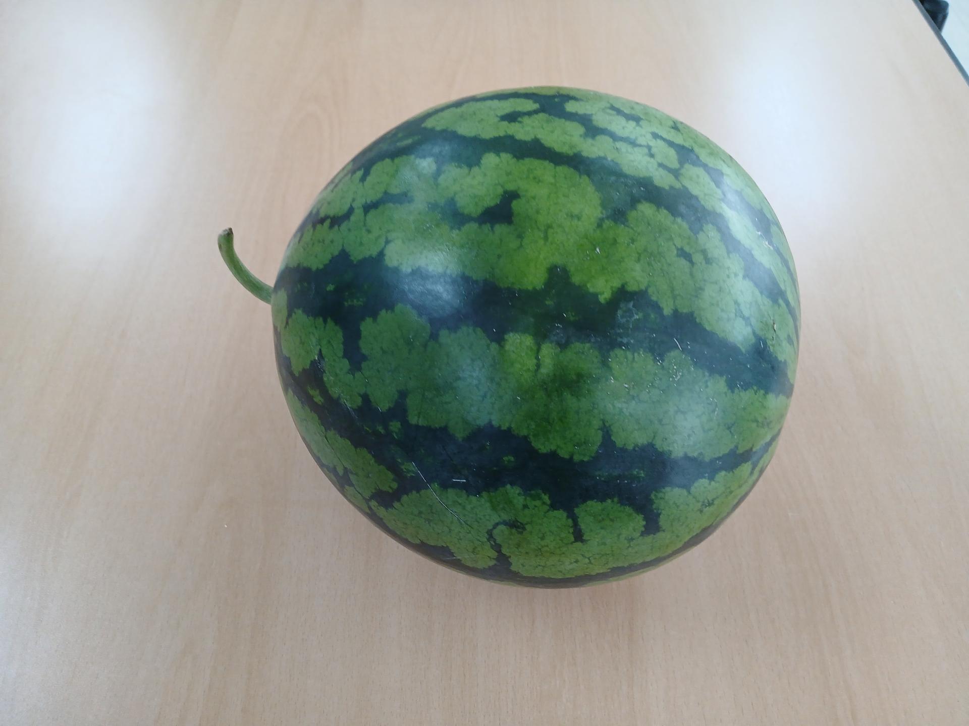 c77ceb0de6872.jpg