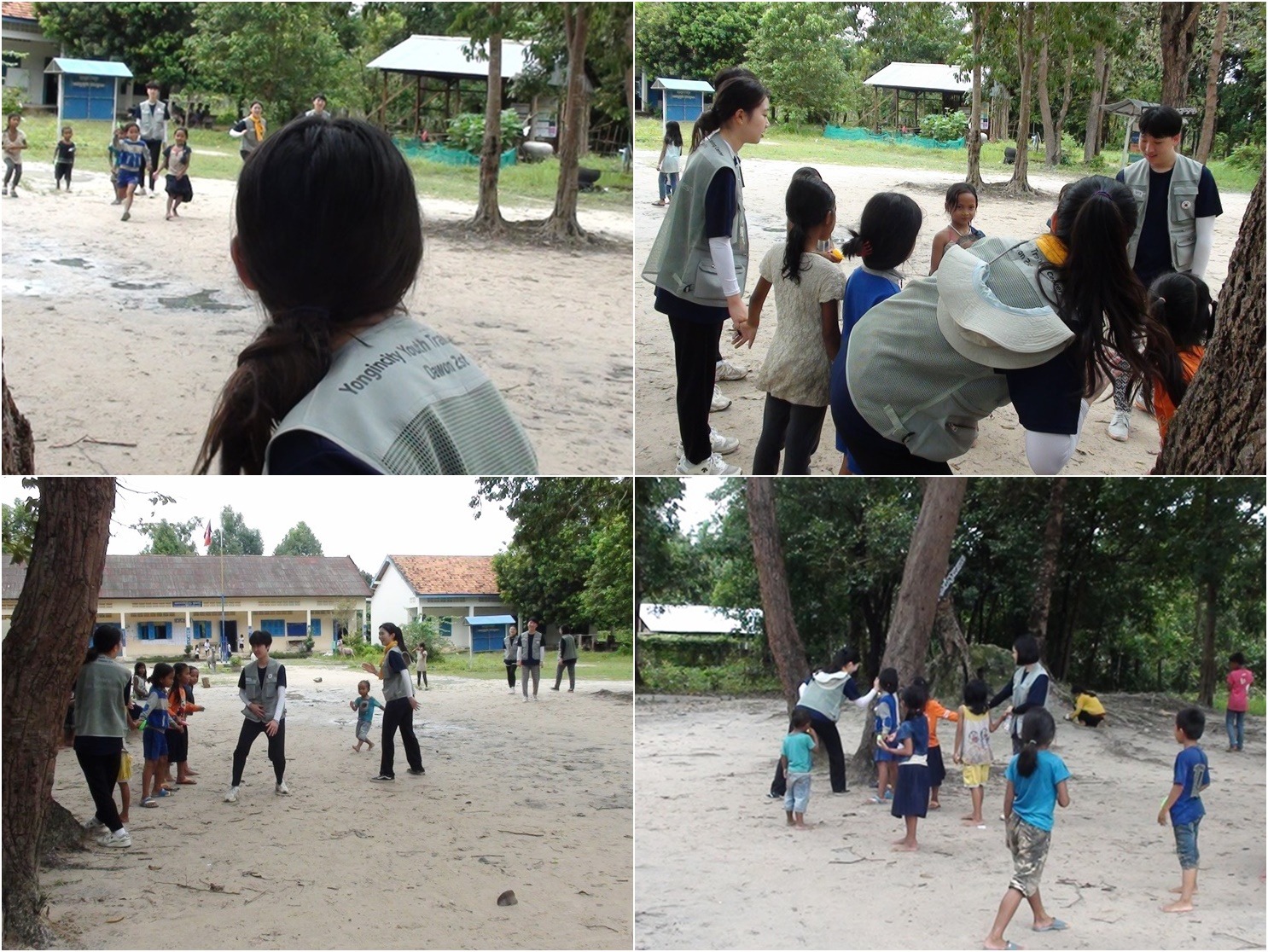 f555bb1773519.jpeg