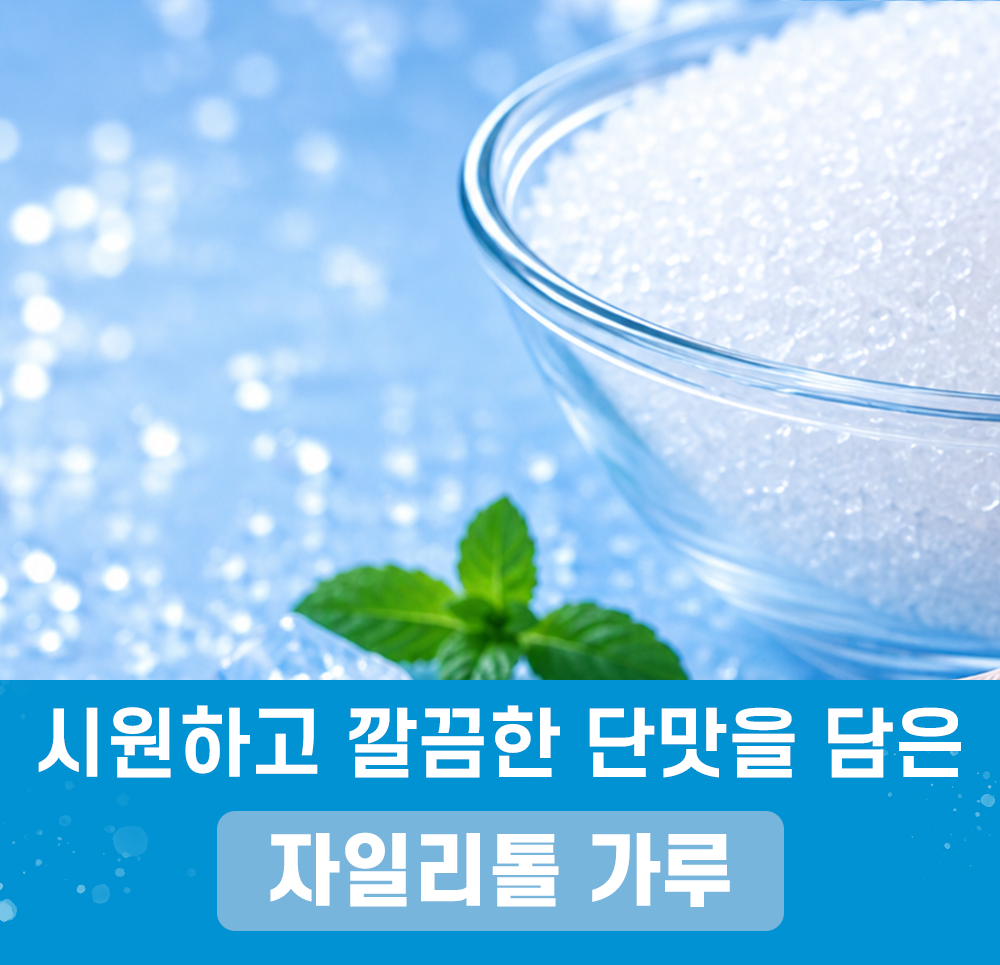 자일리톨 1kg