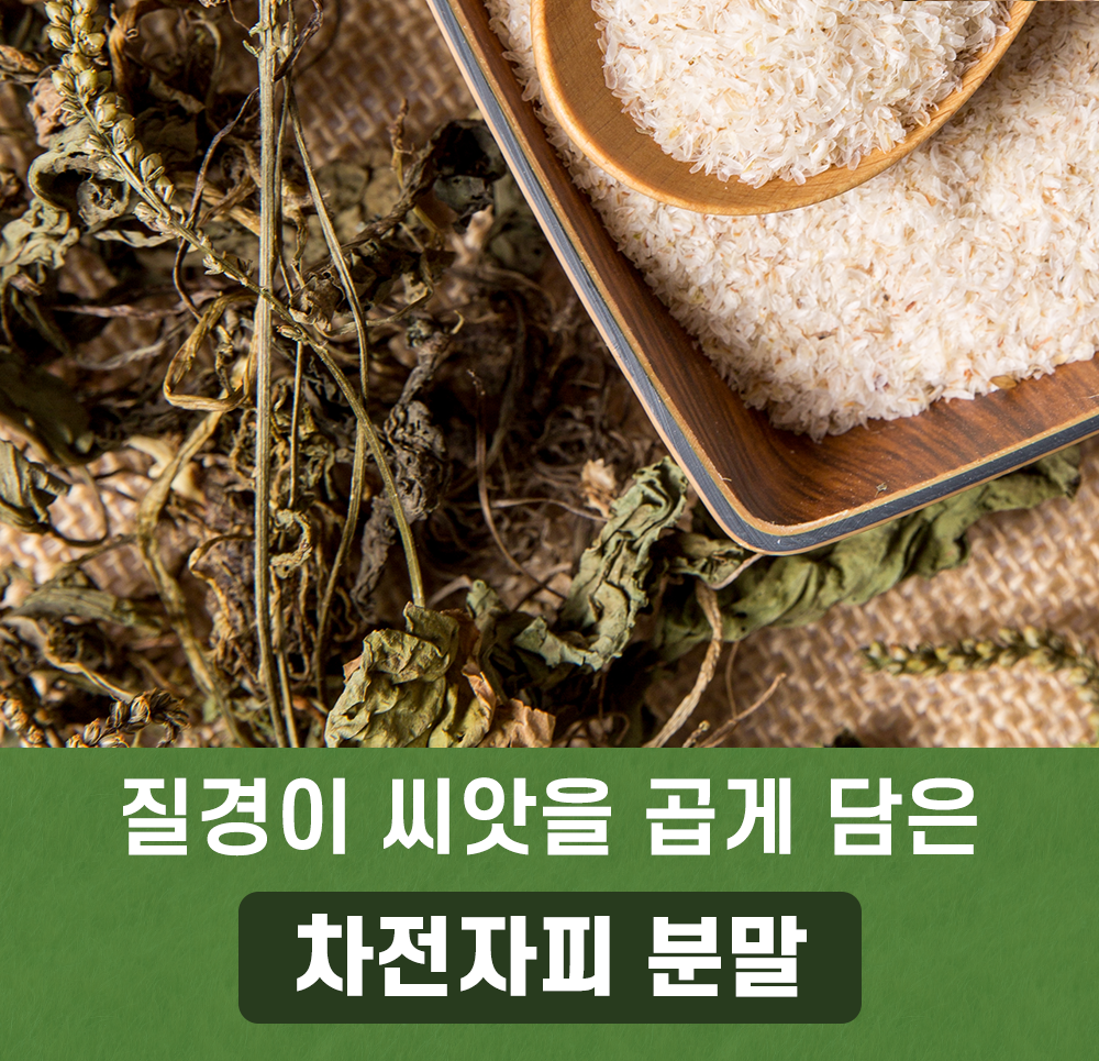 차전자피 1kg